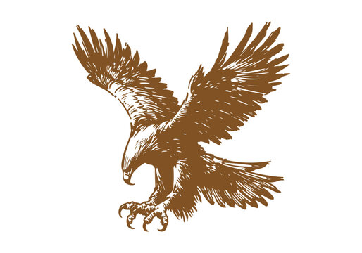 Golden Eagle hand drawn sketch vector illustration