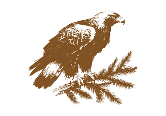 Golden Eagle hand drawn sketch vector illustration