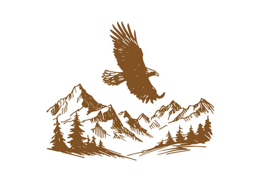 Golden Eagle hand drawn sketch vector illustration