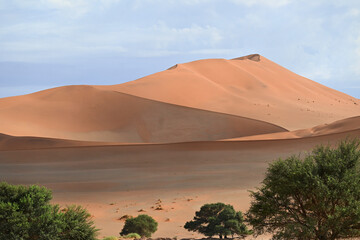 Africa- Namibia- Panoramic Landscape of Trees Contrasting With the Famously Huge Red Sand Dunes