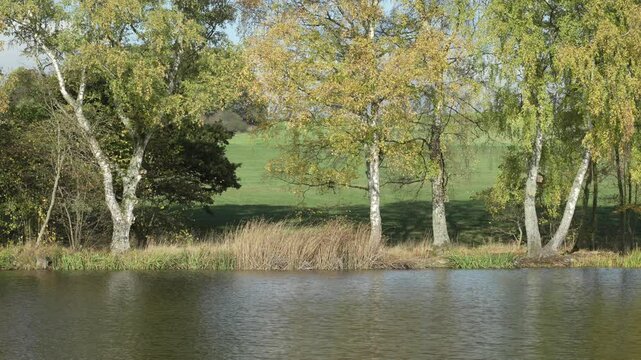 Ruhiges Gew&auml;sser am Meerpfuhl Weiher bei Merzhausen Usingen, Hochtaunuskreis, Hessen, Deutschland