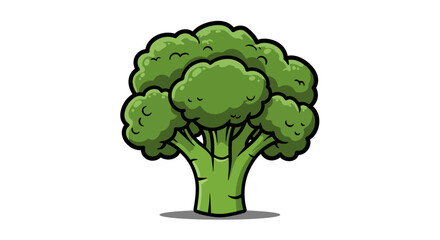 Broccoli vegetable food plant fresh healthy nutrition