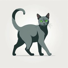 何かを見つけ立ち止まるコラット猫