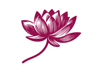 Lotus Flower Hand Drawn Natural Illustration Stylized as Linocut Vector Isolated by AZ for Books, Arts, Design and Decoration Graphic Asset