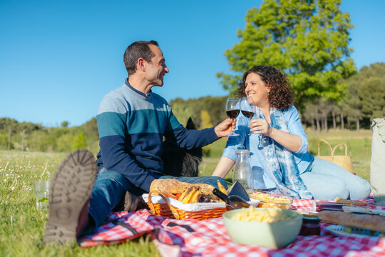 Happy couple toasting with red wine during a cheerful picnic in a park, celebrating their togetherness with food and drinks