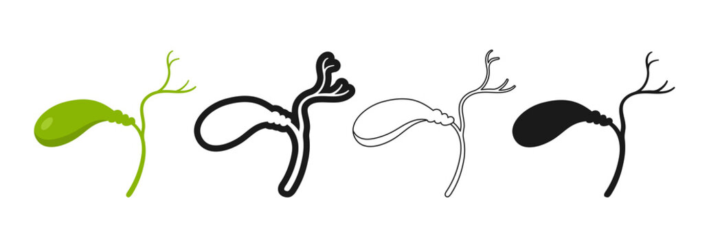 Human gallbladder stylized symbol set. Anatomical gall bladder body organ symbol on white background. Drawing human gall bladder for medical, infographic childrens education design vector illustration