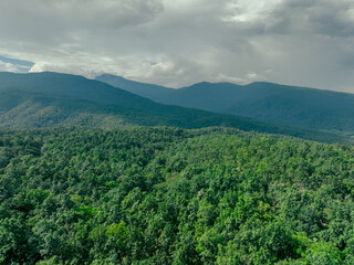 Sustainable mountain forest. Dense green trees capture carbon emissions for net zero concept. Climate change awareness and environmental conservation. Carbon neutrality. Corporate sustainability.