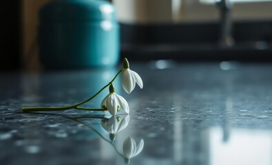 A delicate snowdrop flower a symbol of hope and new beginnings rests on a polished emerald pearl granite worktop its pristine white petals contrasting beautifully with the cool grey surface