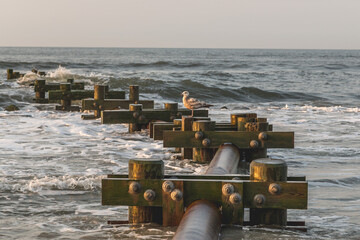 A seagull perched on wooden posts in the ocean with waves crashing around the posts at the coastline