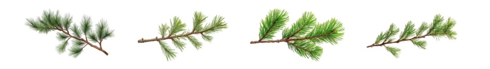 Fototapeta premium set of different shades of green sprigs of plant life isolated on transparent background