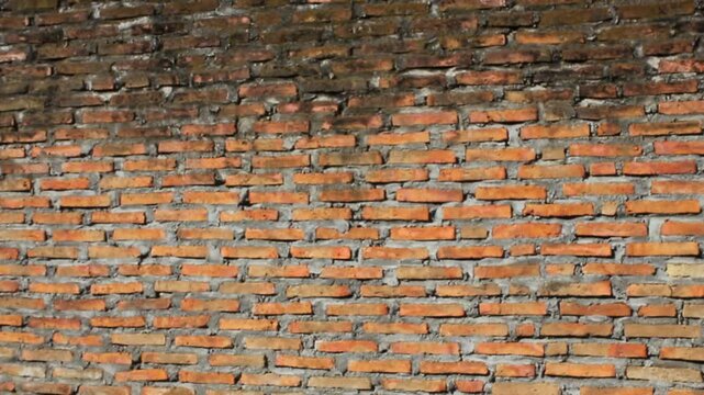 brick wall highlighted by morning sunlight