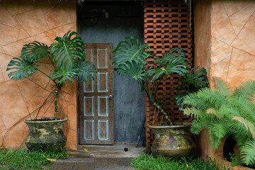 Rustic wooden door surrounded by lush green plants and terracotta walls creates serene entrance