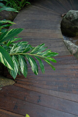 Wooden pathway curves through lush garden with vibrant green foliage, creating serene and natural atmosphere