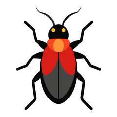 Flat design red and black beetle illustration