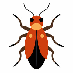 Red and black beetle illustration