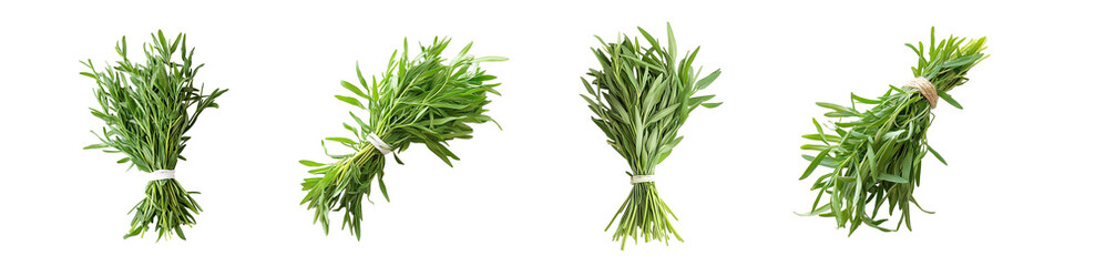 set of Fresh bunches of herbs displayed isolated on transparent background