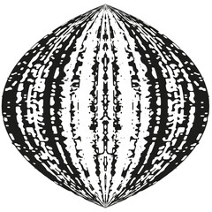 Striped melon shape. Vector fruit pattern. Curved abstract form. Black texture.