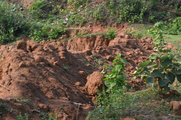 Pile of soil. The soil has been dug out and kept to make Clay brick. Red soil in Natural environment.
