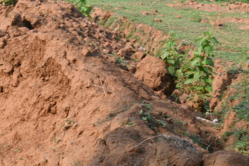 Pile of soil. The soil has been dug out and kept to make Clay brick. Red soil in Natural environment.
