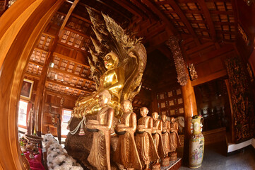 Golden sitting Buddha statue and there is a serpent covering the back in Buddhist Thai Church at Wat Den Sali Si Mueang Kaen temple. Located at Chiang Mai city in Thailand.