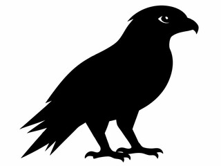 Red-tailed Hawk silhouette black color bird on white background