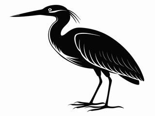 American Bittern silhouette black color bird on white background