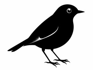 American Robin silhouette black color bird on white background