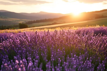 Farming with Natural Pesticides Organic farms using essential oils neem oil or other natural methods to control pests 
