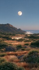 Fototapeta premium Serene Moonlit Coastal Landscape Night Sky Ocean Hills Grass