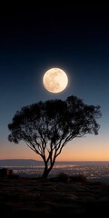 Fototapeta premium Serene Moonlit Night Tree Silhouette City Lights Full Moon Landscape