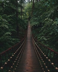 Obraz premium wooden bridge in the forest surrounded by green tall trees