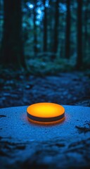 Orange disc light in a dark forest