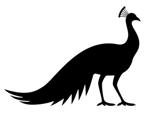 Black Peacock Icon for Elegant Bird Decor Design vector illustration of an ostrich
