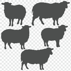 sheep silhouette set. sheep and lamb isolated farm animal silhouette icon. eps 10