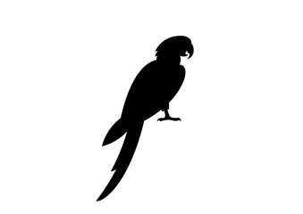 vector illustration of a black parrot, Black Parrot Icon for Tropical Bird Wildlife Design