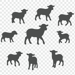 Naklejka premium sheep silhouette set. sheep and lamb isolated farm animal silhouette icon. eps 10
