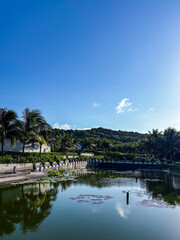 Obraz premium Tropical Palm-Lined Pond Reflections Under Vibrant Blue Sky