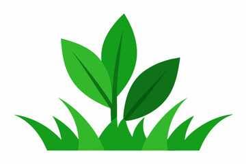 Simple green plant with grass illustration