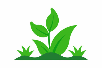 Simple green plant growing in soil illustration