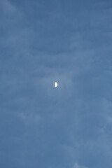 Half Moon in Soft Blue Sky with Gentle Evening Clouds
