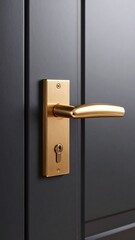 Elegant Gold Door Handle on Dark Door Modern Interior Design.
