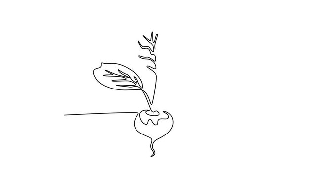 Tree roots concept . Single line draw design. Full length animation illustration. High quality 4k footage