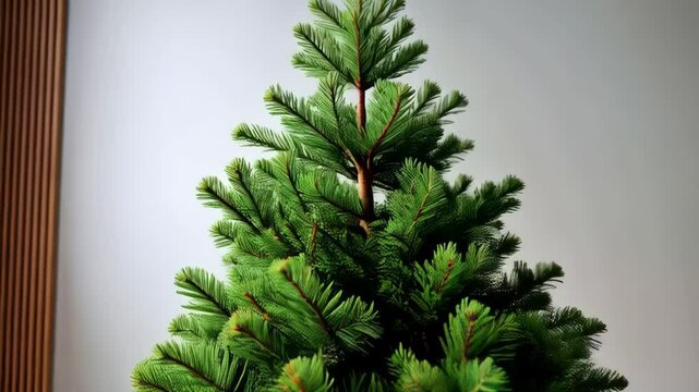 Small undecorated Christmas tree in a simple pot on a floor against a light gray wall, minimal holiday decor, copy space