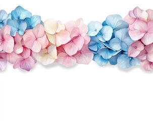 Obraz premium Pastel hydrangea blossoms in pale pinks, blues, and yellows, arranged in a horizontal border against a white background