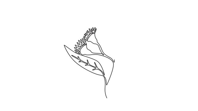  Floral with branch concept. Single line draw design. Full length animation illustration. High quality 4k footage
