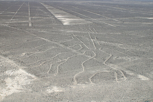 Aerial View of Geoglyph at the Nazca Lines in Peru