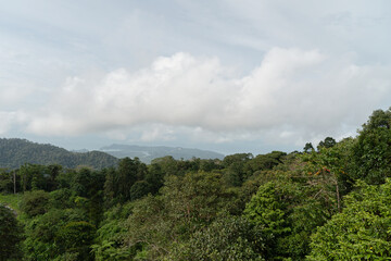 Fototapeta premium A view from Gunung Raya on Langkawi, showing vast lush forests and distant misty mountains under a cloudy sky.