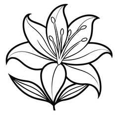 Elegant lily flower silhouette graphic design