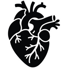 Anatomical Heart Illustration with Blood Vessels