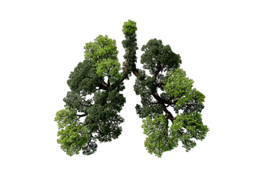 Lush green foliage shaped like human lungs against a black background, symbolizing environmental health and clean air